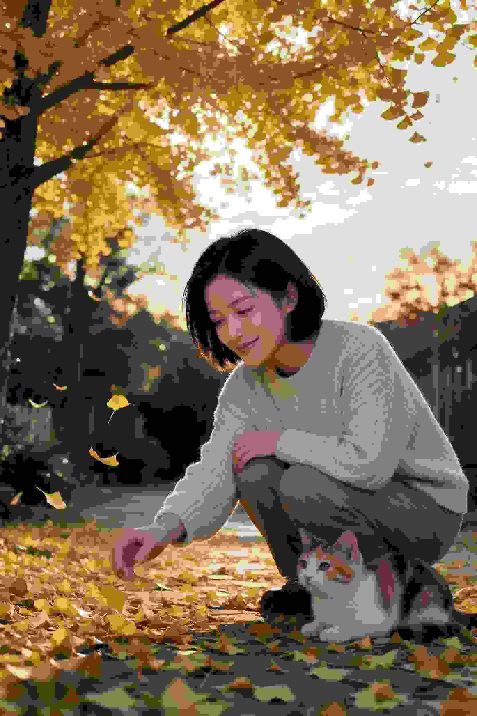 交换人生